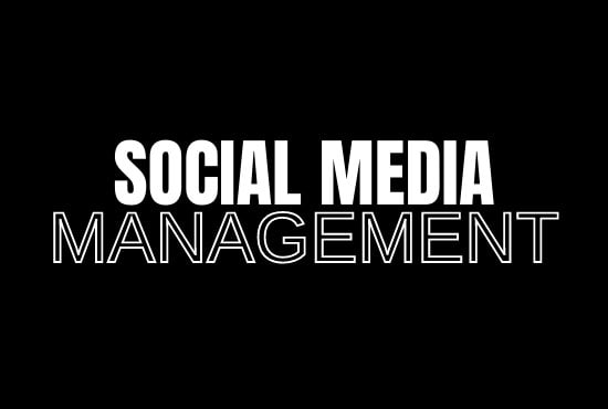 I will manage your social media accounts