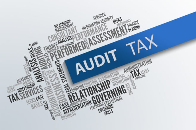 I will offer you the best consultancy regarding to business taxation and audit