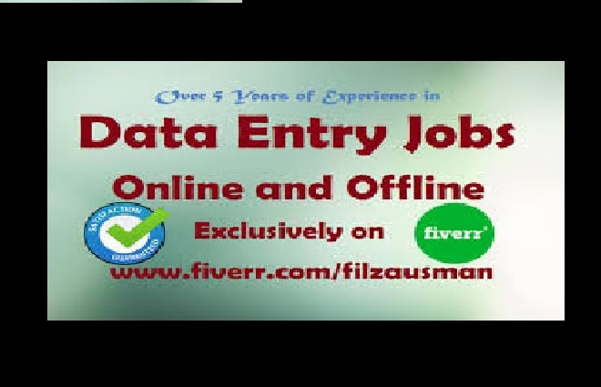 I will online and offline fast data entry jobs and edit your documents