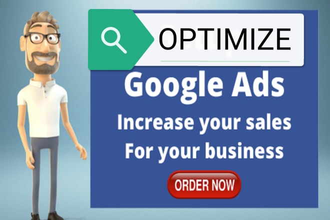 I will optimize your google ads campaign and make it profitable