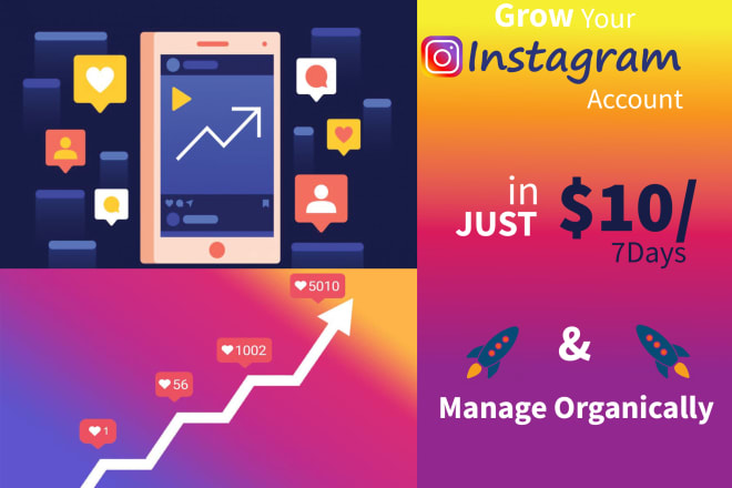 I will organically grow and manage your instagram