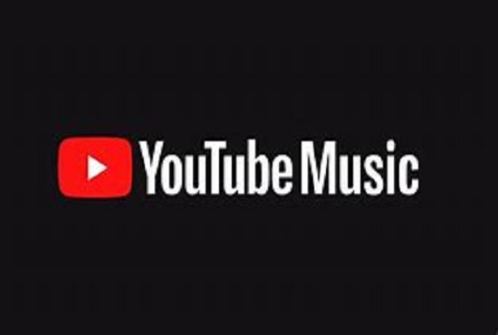 I will organically promote your youtube music video