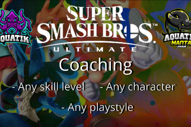 I will professionally coach you in ssbu as a sponsored player