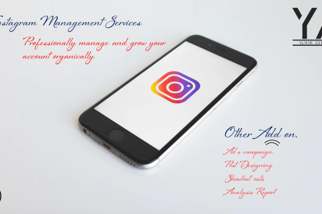 I will professionally grow and manage your instagram manually