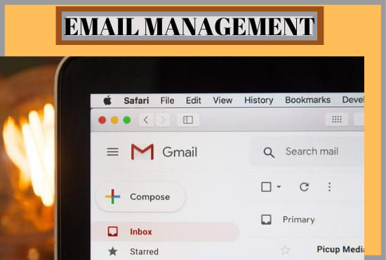 I will professionally organize and manage your emails