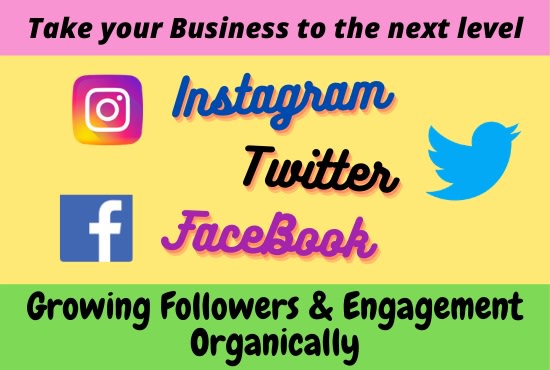 I will professionally promote and marketing your instagram, twitter, and facebook