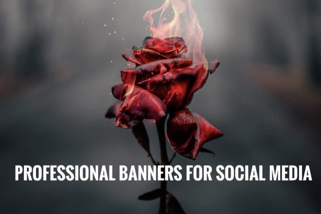 I will proffesional banner designs for social media