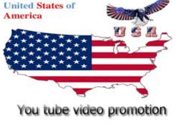 I will promote youtube channel in USA