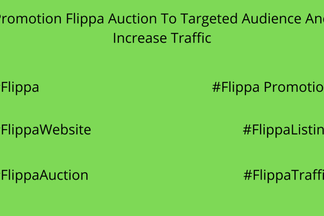 I will promotion flippa auction to targeted audience and increase traffic