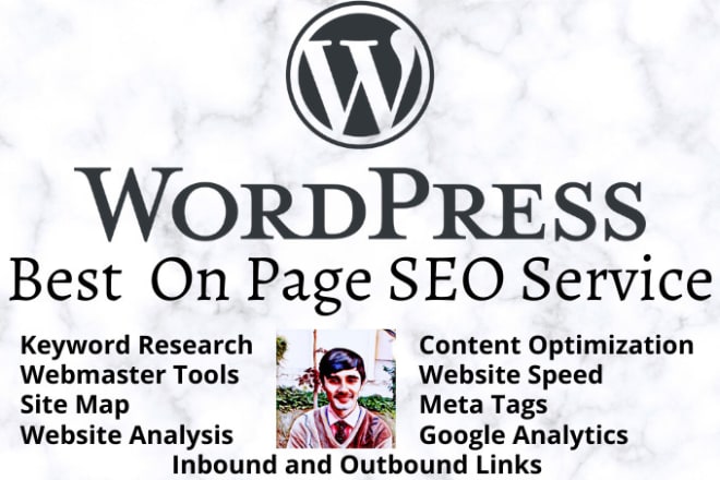 I will provide best on page seo service for your wordpress website