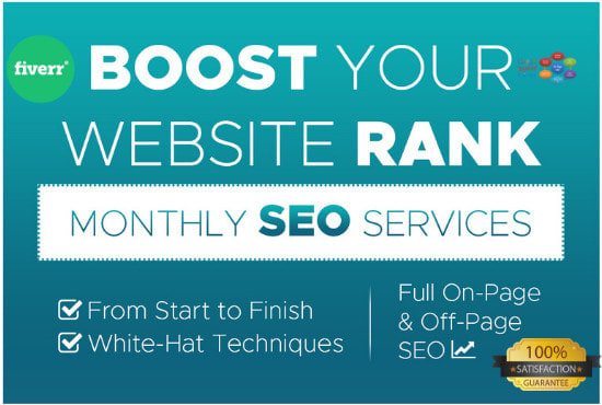 I will provide monthly seo service for top google ranking