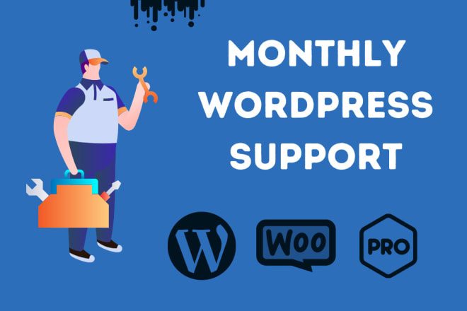 I will provide monthly wordpress maintenance, support and tech help