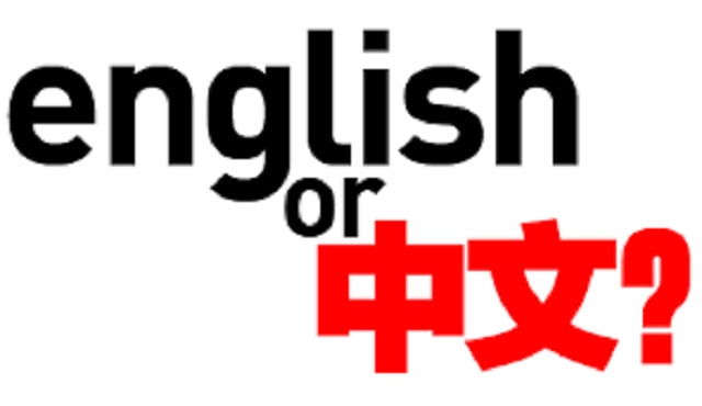 I will provide professional english and mandarin chinese translation service