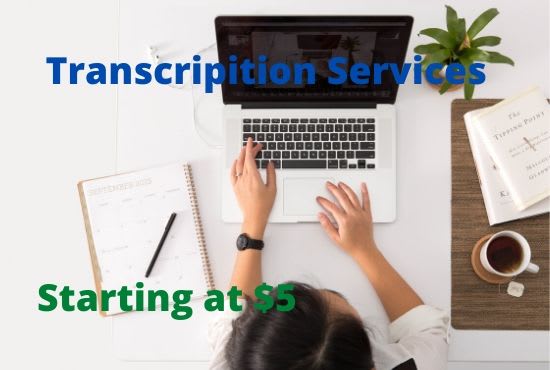 I will provide professional transcriber, transcription services