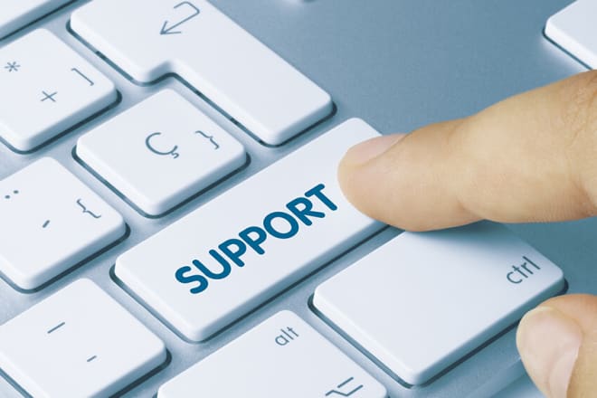 I will provide remote IT support