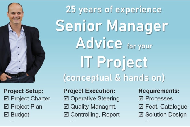 I will provide senior IT project management advice, concepts, reviews, qm around IT