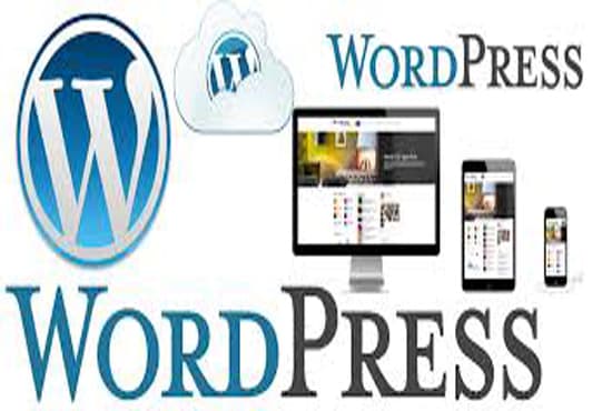 I will provide user friendly wordpress services