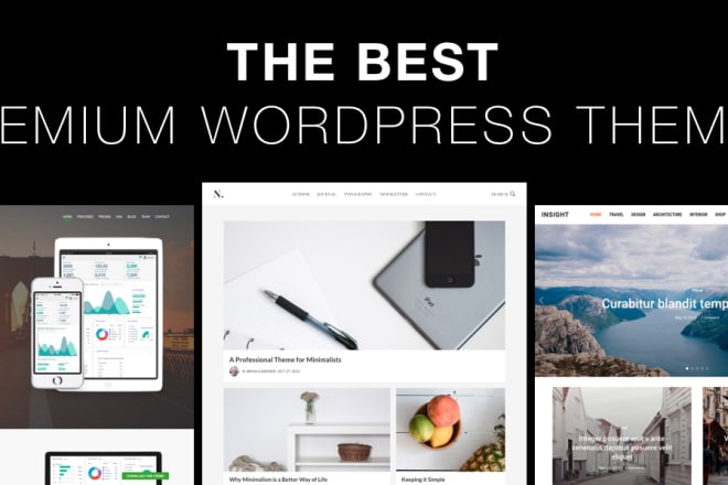 I will provide you a premium wordpress theme or plugin