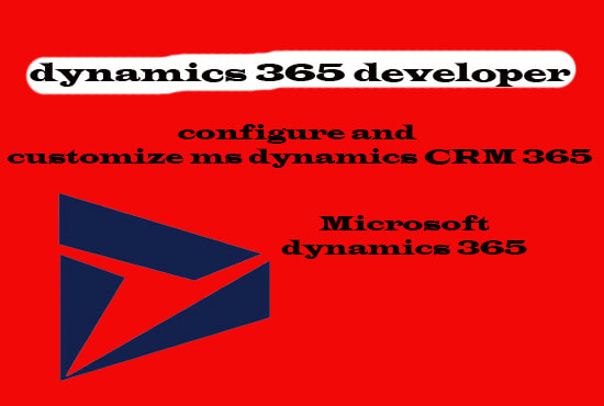 I will provide you hourly microsoft dynamics 365 consultancy