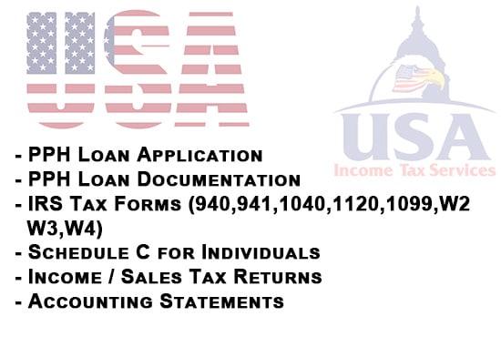 I will provide you US tax forms and sba ppp loan service