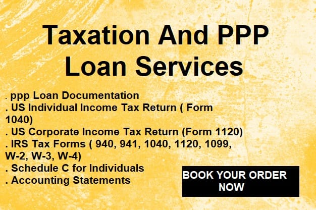 I will provide you US tax forms and sba, ppp loan services