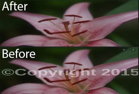 I will remove or add text, object, logo, watermark or background of your images