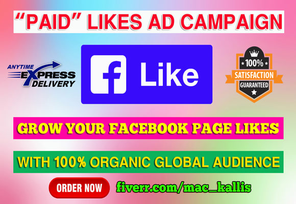 I will run a effective facebook ad campaign to grow page likes