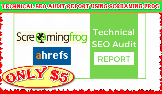 I will run complete technical seo audit report using screaming frog