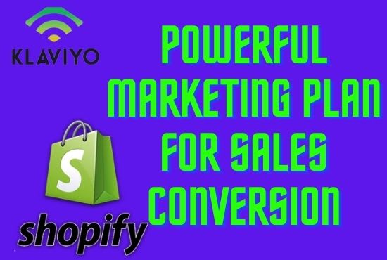 I will run conversion facebook ads marketing for shopify ecommerce store sales traffic