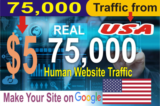 I will send 75,000 world wide traffic website