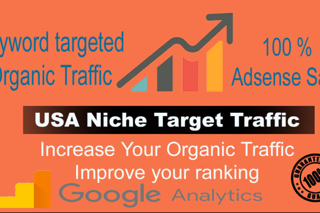 I will send low bounce organic traffic from USA