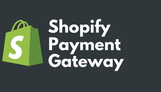 I will set up integrate shopify paypal stripe world pay payment gateway