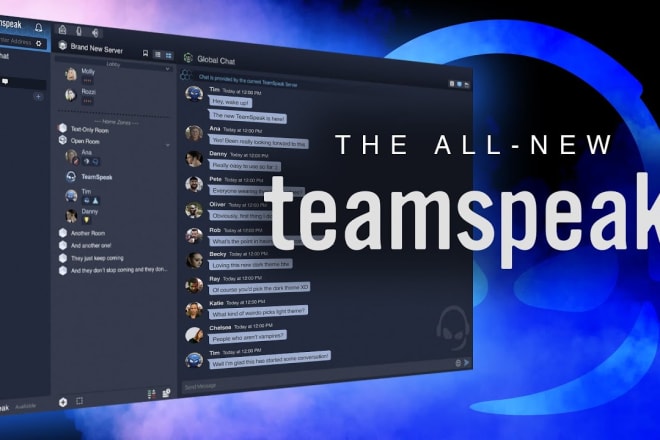 I will setup and design professional teamspeak server