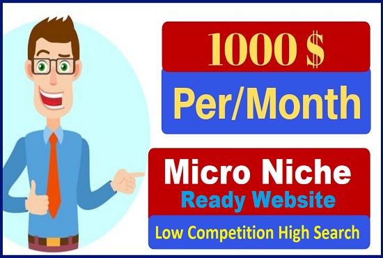 I will setup complete micro niche website
