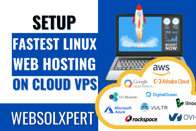 I will setup fastest linux web hosting on vps cloud fast wordpress