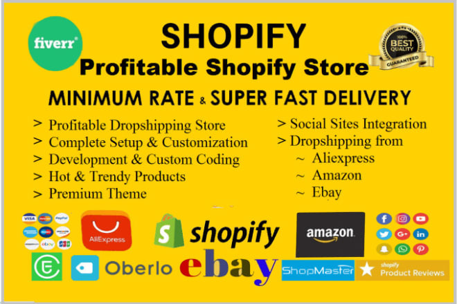 I will setup shopify store design or shopify website