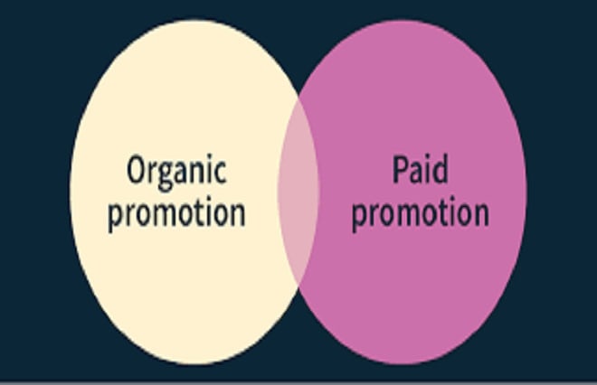 I will sky rocket your organic and paid promotion to 100,000 visitors