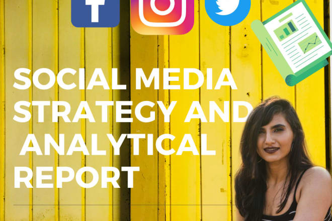 I will social media marketing strategy