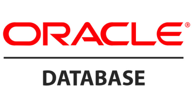 I will solve any oracle db problem