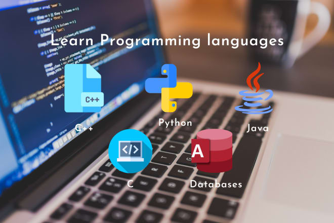 I will teach online programming courses