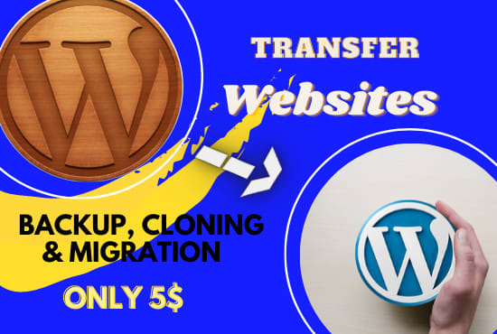 I will transfer, backup, cloning and migration websites