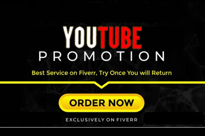 I will viral youtube video promotion