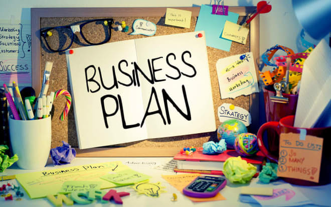 I will write a business plan