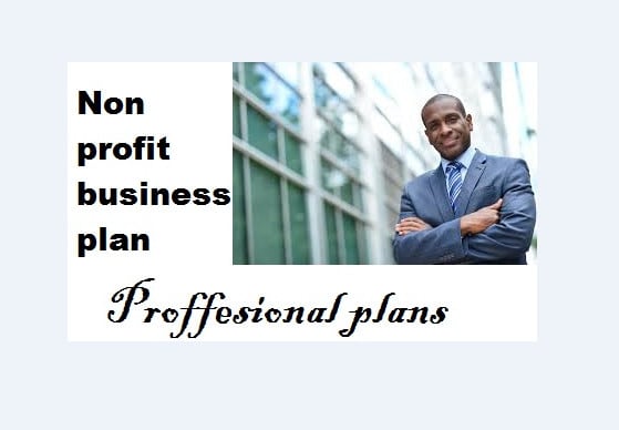 I will write a non profit business plan for you