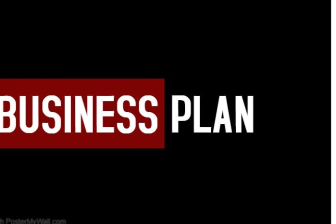 I will write business plan for online store and business