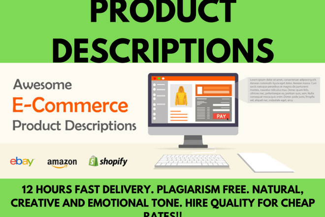 I will write catchy product descriptions for your ecommerce store