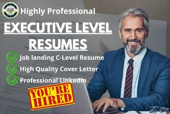 I will write executive, director, c level, vp, ceo, and coo resume