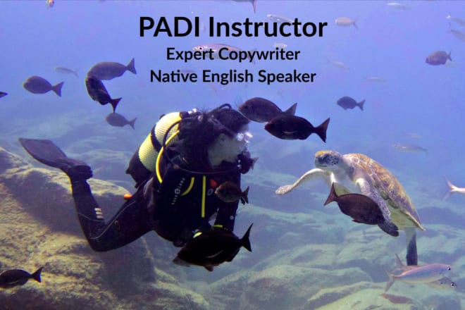 I will write SEO articles, blog posts, web content on scuba diving