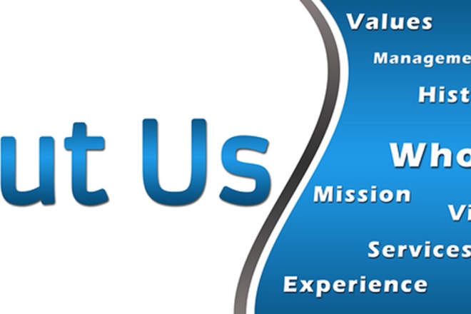 I will write your company overview, about us, me, mission statement