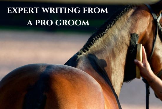 I will write your SEO horse grooming or care article